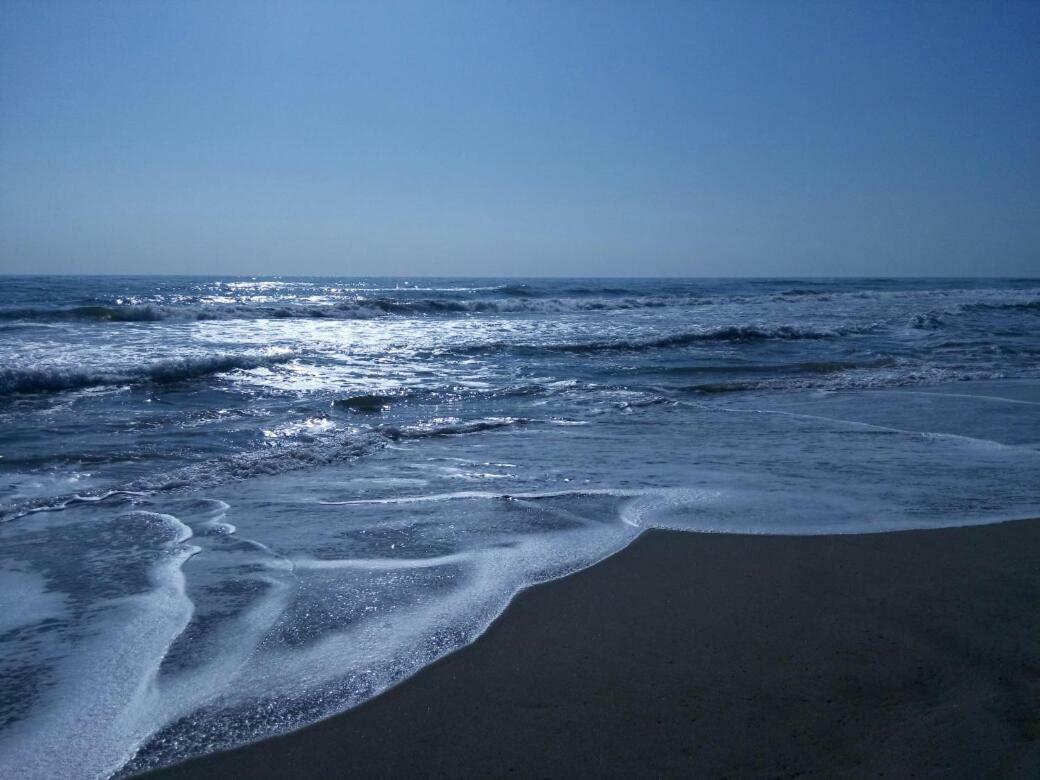 Terrasses De La Mediterranee Fleury  Εξωτερικό φωτογραφία